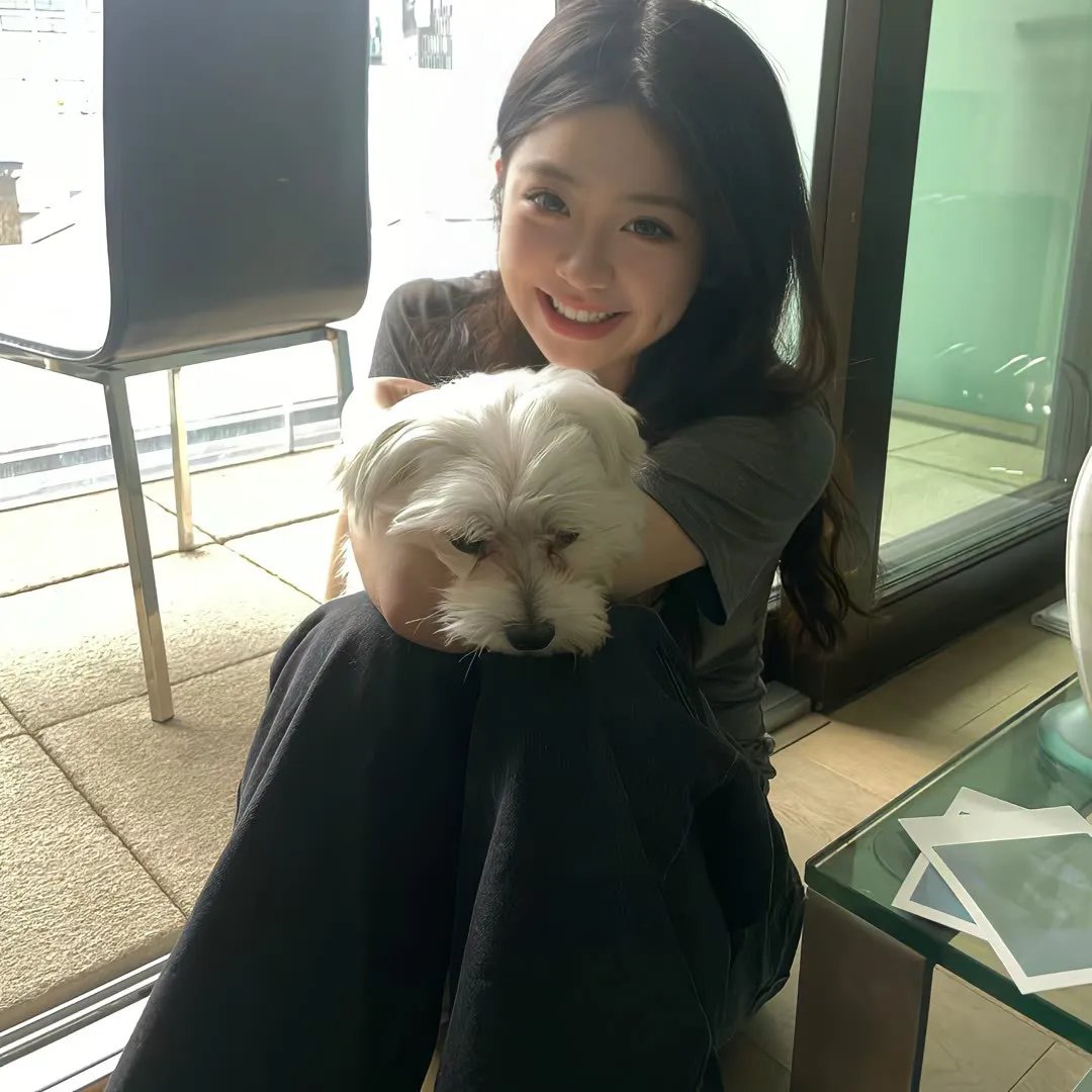 低智商犯罪